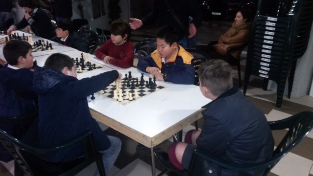 Campeón ajedrez